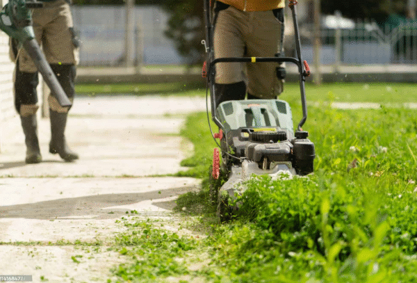 Professional Landscaping Campbelltown Services for Stunning Outdoor Spaces 