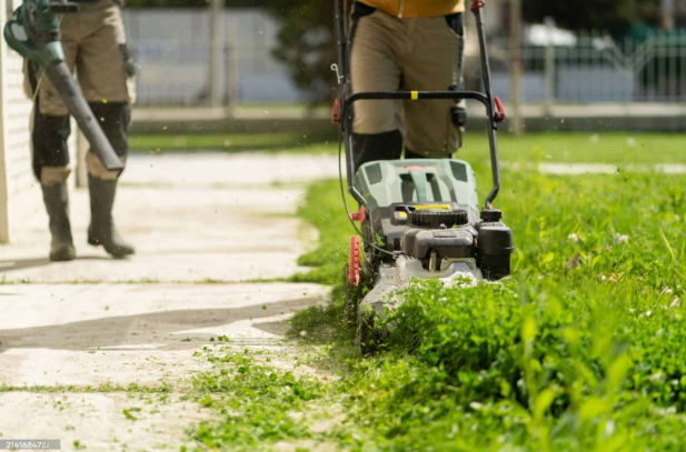 Professional Landscaping Campbelltown Services for Stunning Outdoor Spaces 