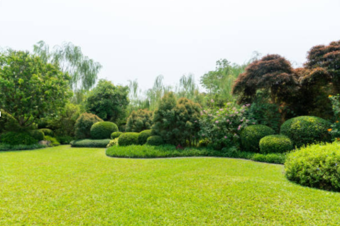 Professional Landscaping Campbelltown Services for Stunning Outdoor Spaces 