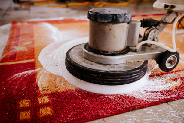 How Professional Area Rug Cleaning Services Extend the Life of Your Rugs